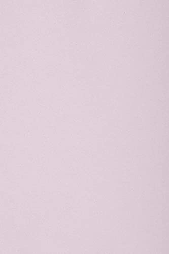 Netuno 10 x Tonkarton DIN A3 297x 420 mm Lila 250g Burano Lilla Bastelkarton einfarbig Fotokarton A3 bunt durchgefärbt Feinpapier DIY Bogen Kreativ-Karton farbig buntes Tonpapier von Netuno