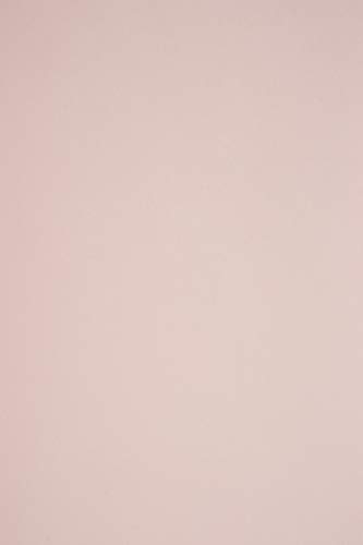 Netuno 100 Blatt Tonpapier Blass-Rosa DIN A4 210× 297 mm 115g Sirio Color Nude Bastel-Papier bedruckbar rosa A4 Ton-Zeichen-Papier für Hochzeit Geburtstag Taufe Weihnachten Einladungs-Karten von Netuno