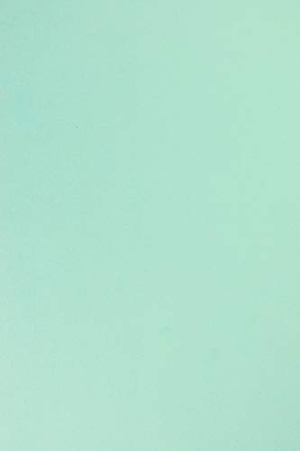 Netuno 20x Tonkarton Hell-Blau DIN A4 210 x 297 mm 170g Sirio Color Celeste Bastelkarton A4 Ton-Zeichen-Karton hohe Qualität für Druckaufgaben Einladungs-Karten Hochzeits-Karten Weihnachts-Karten von Netuno
