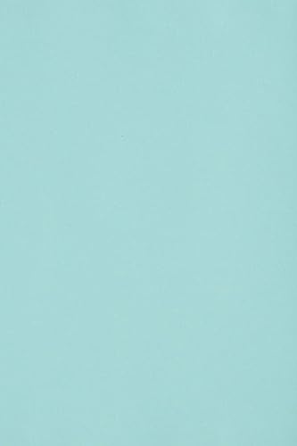 Netuno 50 x Tonkarton DIN A3 297x 420 mm Hellblau 250g Burano Azzurro Bastelkarton einfarbig Fotokarton A3 bunt durchgefärbt Feinpapier DIY Bogen Kreativ-Karton farbig buntes Tonpapier von Netuno