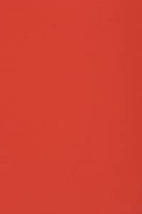 Netuno 50 x Tonkarton DIN A3 297x 420 mm Rot 250g Burano Rosso Scarlatto Bastelkarton einfarbig Fotokarton A3 bunt durchgefärbt Feinpapier DIY Bogen Kreativ-Karton farbig buntes Tonpapier von Netuno