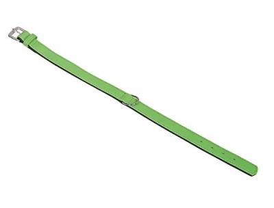 Nobby Halsband SOUTH, grün 32 cm (25-30 cm), 14/16 mm, 1 Stück von Nobby