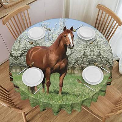 Runde Spitzen-Tischdecke mit Pferd in der Vorderseite, waschbar, Polyester, rund, perfekt für Buffet-Tische, Partys, 152 cm von PartyUnix