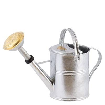 PLINT 5L Watering Can - Modern Style Watering Pot for Indoor and Outdoor House Plants - Coloured Galvanised Powder Coated Steel - Metal Design with Narrow Spout and High Handle - (Zinc) von Plint