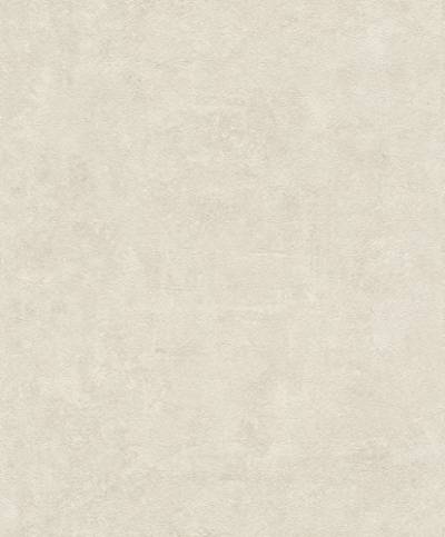 rasch Tapete 467505 aus der Kollektion Vincenza – Vliestapete in Hellgrau im Beton-Design – 10,05m x 53cm (L x B) von Rasch