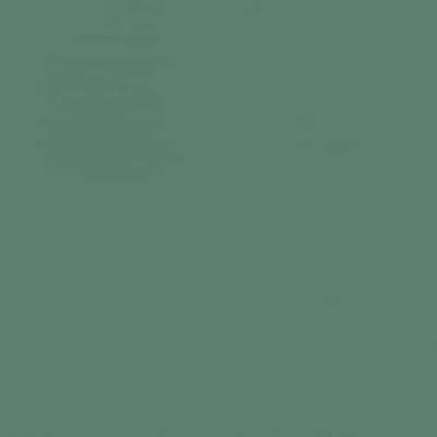 Rasch Tapete 807615 - Einfarbige Vliestapete in Grün mit leichter Struktur - 10,05m x 0,53m (L x B) von Rasch