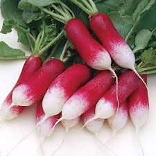 Radieschen-Samen 30 Gemüse Red Fresh Natural Hot Food C027 von Mikedaoer von SVI