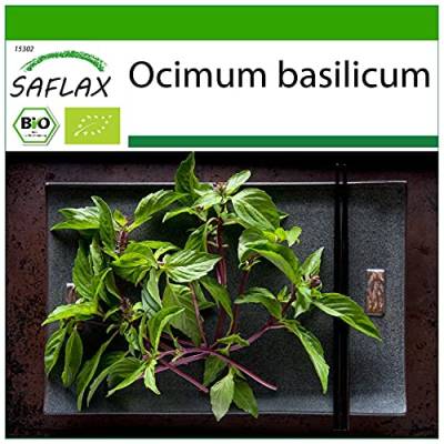 SAFLAX - BIO - Basilikum Thai - 250 Samen - Mit keimfreiem Anzuchtsubstrat - Ocimum basilicum von Saflax