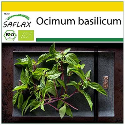 SAFLAX - BIO - Basilikum Thai - 250 Samen - Ocimum basilicum von Saflax
