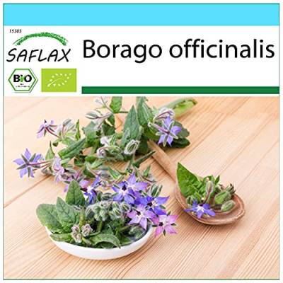 SAFLAX - Geschenk Set - BIO - Borretsch - 40 Samen - Mit Geschenk- / Versandbox, Versandaufkleber, Geschenkkarte und Anzuchtsubstrat - Borago officinalis von Saflax