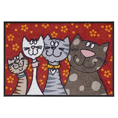 Salonloewe Fußmatte waschbar Katzenfamilie 50x75 cm HausTür-Eingangs-Matte lustig rot-bunt Tiere Fussabtreter von Salonloewe