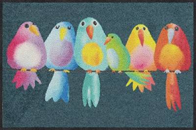 Salonloewe Rainbow Birds Fußmatte waschbar 50x75 cm Türmatte Fussabtreter Vögel bunt witzig rutschfest hohe Qualität von Salonloewe