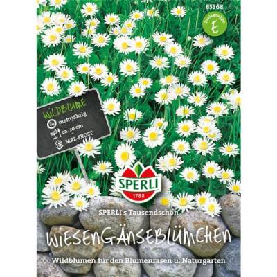 Sperli 85368 Wiesengänseblümchen (Gänseblümchensamen) von Sperli