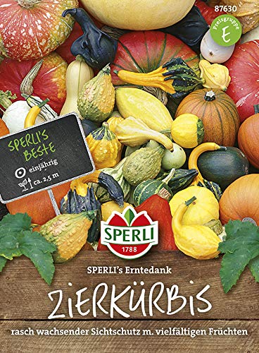 Sperli-Samen Zierkürbis Gross- und kleinfrüchtige Mischung SPERLI's Erntedank von Sperli