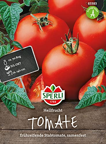 83383 Sperli Premium Tomatensamen Hellfrucht | Frühreifend | Ertragreich |Tomatensamen Freiland | Tomaten Samen | Tomatensamen alte Sorten Freiland | Tomaten Saatgut | Freilandtomaten samen von Sperli