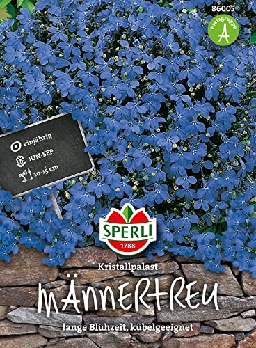 Männertreu SPERLI's Tiefblauer Kristallpalast von Sperli-Samen von Sperli