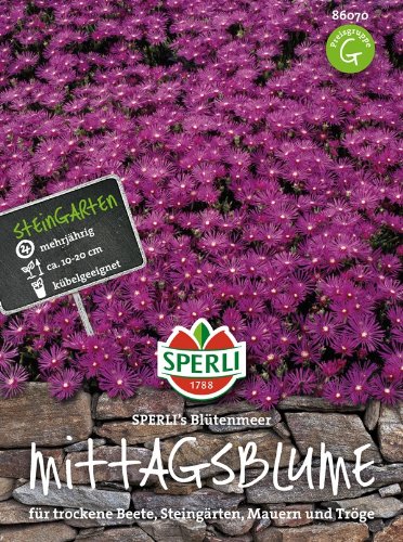 Mittagsblume SPERLING's Blütenmeer von Sperli