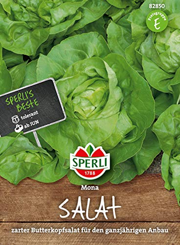 82850 Sperli Premium Kopfsalat Samen Mona | Zart | Große Köpfe | Kopfsalat Saatgut | Salat Saatgut | Butterkopfsalat Samen von Sperli