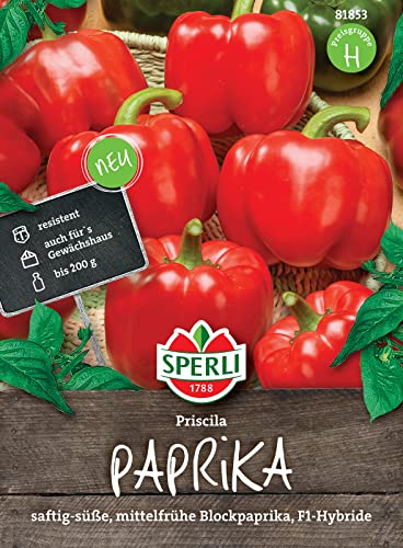 Sperli 81853 Paprika Priscila F1, blockigen kräftig roten Früchte werden ca. 200 g schwer, Für Anbau im Gewächshaus und Freiland geeignet von Sperli