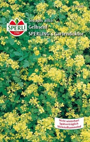 Sperli-Samen SPERLI's Gartendoktor Gelbsenf, 250g von Sperli
