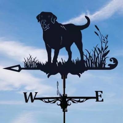 Wetterhahn - Robuste Metall Windfahne zur Wettervorhersage - Wetterfahne mit Halterung - Dekofigur für Hof, Terrasse und Dach - Retro Hund Design von TAZZOR
