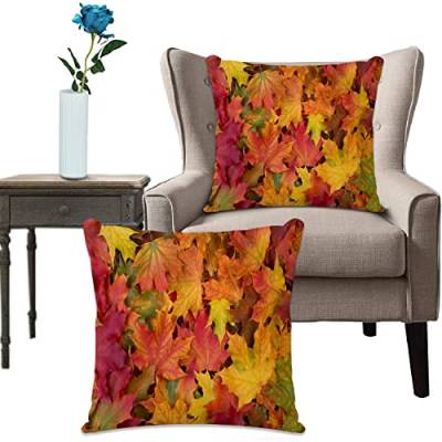 Kissenhülle Super Weich Home Decoration,Heimdekoration,Roter Blatt-Fall lässt braunen Herbst-Ahorn-September-Muster-Baum,Pillowcase Sofakissen für Wohnzimmer Sofa Bed von URSOPET