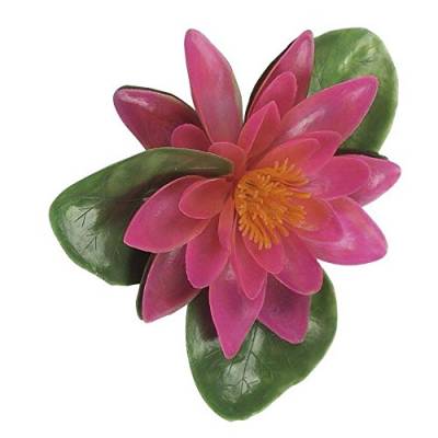 Wasserlilie, rosa von Verdemax