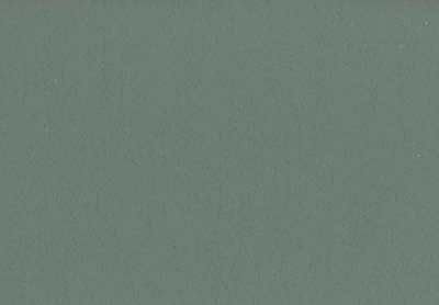 Volvox Espressivo Lehmfarbe Bunttöne 2 PGB 2,5 Liter | 20 m² (ginkgo | 098) Wandfarbe Deckenfarbe Naturfarbe Ginkofarbe von Volvox