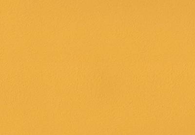 Volvox Espressivo Lehmfarbe Bunttöne 3 PGD 2,5 Liter | 20 m² (orange juice | 264) Wandfarbe Deckenfarbe Naturfarbe von Volvox