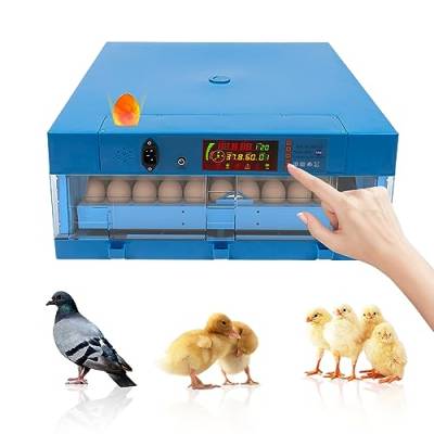 Brutautomat Vollautomatisch,64 Eierinkubatoren Automatische Temperaturregelung,Inkubator mit Automatisches Wenden von Eiern Feuchtigkeitskontrolle für Zuchtbetriebe, Labors usw von WOQLIBE