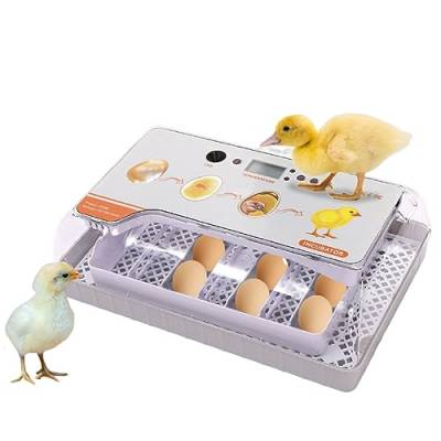 Brutautomat Vollautomatisch Inkubator 20 Eier Brutmaschine-Temperatur Feuchtigkeitskontrolle für Hühner Enten Vögel Bauernhof Familie Verwendung mit LED-Ei Lichter von WOQLIBE