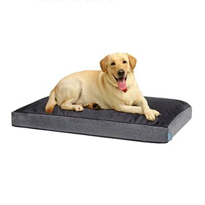 XDREAM orthopädisches Comfort Hundebett | Flauschiges Hundekissen|mit weichen Schaumstoffstäbchen zur Gelenkschonung | Bezug waschbar | Öko-Tex Zertifiziert | Höhe 8 cm | 89 x 56cm | Grau von XDREAM
