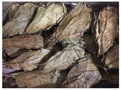 catappa-leaves Seemandelbaumblätter 1,0kg B-Ware unsortiert - Blitzversand im Paket von catappa-leaves