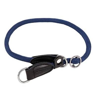 lionto Hundehalsband Retrieverhalsband Dressurhalsband, Länge 30 cm, blau von lionto