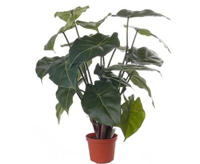 Künstliche Purpurtute Syngonium mit 20 Blätter, Höhe von 45cm im Topf - Tropische Kunstpflanze Zimmerpflanze immergrün von kunstpflanzen-discount.com