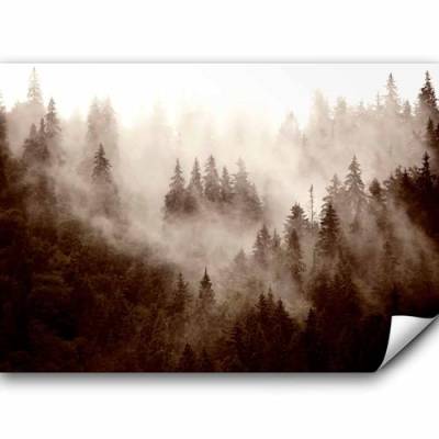 murando Fototapete selbstklebend Wald Nebel 294x210 cm Tapete Wandtapete Klebefolie Dekorfolie Tapetenfolie Wand Dekoration Wandaufkleber Wohnzimmer Natur Landschaft skandinavisch von murando