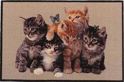 oKu-Tex Design Fußmatte Katzen Kätzchen Kitten, lustiges & niedliches Motiv, rutschfest & waschbar, Deko Dekorativ, braun, 40 x 60 cm, Kleine Katzen von oKu-Tex