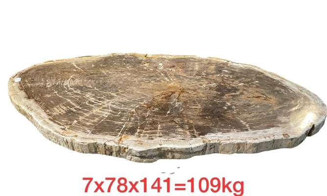 Tisch Fossil Natur Steintisch Couchtisch Versteinertes Holz Loungetisch Fossiltisch Petrified wood von TARSHOPBALI