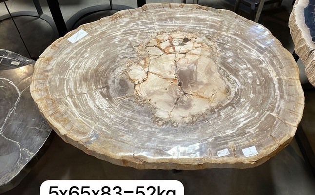 Tisch Fossil Natur Steintisch Couchtisch Versteinertes Holz Loungetisch Fossiltisch Petrified wood von TARSHOPBALI