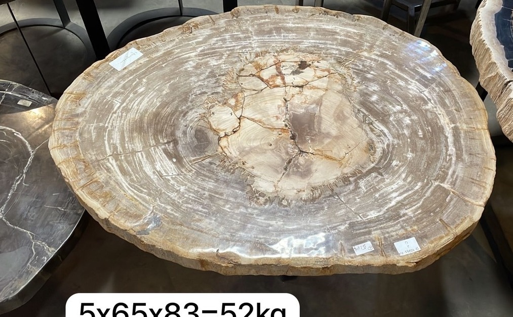 Tisch Fossil Natur Steintisch Couchtisch Versteinertes Holz Loungetisch Fossiltisch Petrified wood Tisch Fossil Natur Steintisch Couchtisch Versteinertes Holz Loungetisch Fossiltisch Petrified wood von TARSHOPBALI