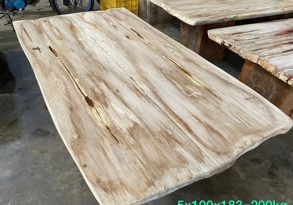 Tisch Fossil Esstisch Versteinertes Holz Natur Steintisch Küchentisch Wohnzimmertisch petrified wood von TARSHOPBALI