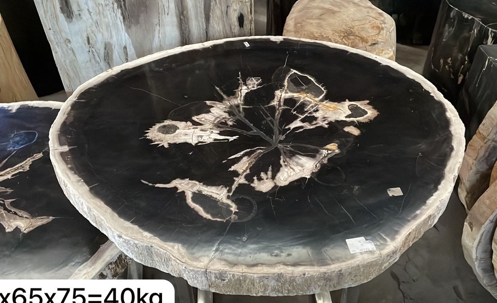 Tisch Fossil Natur Steintisch Couchtisch Versteinertes Holz Loungetisch Fossiltisch Petrified wood Tisch Fossil Natur Steintisch Couchtisch Versteinertes Holz Loungetisch Fossiltisch Petrified wood von TARSHOPBALI