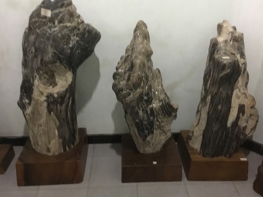 Skulptur Fossil Naturstein Versteinertes Holz Steinskulptur Säule Petrified wood Fossilien von TARSHOPBALI