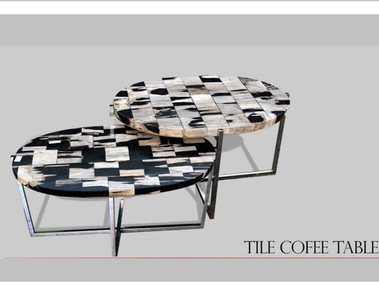 Tisch Fossil Natur Steintisch Couchtisch Versteinertes Holz Kaffeetisch Beistelltisch Petrified wood von TARSHOPBALI