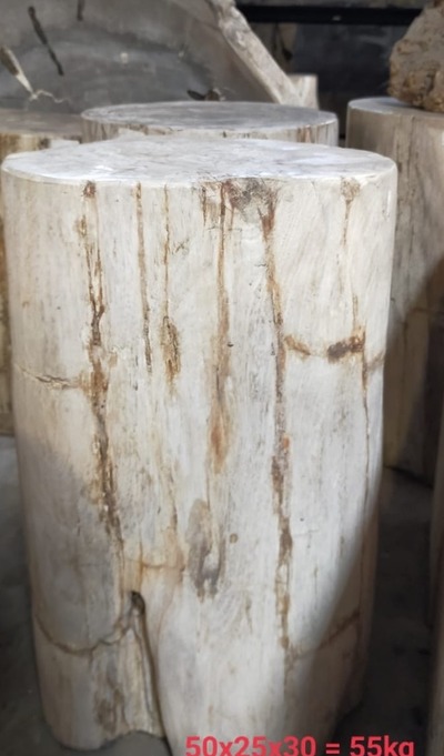 Fossil Tisch Beistelltisch Hocker Säule Versteinertes Holz Steintisch Naturstein Petrified wood Fossil Tisch Beistelltisch Hocker Säule Versteinertes Holz Steintisch Naturstein Petrified wood von TARSHOPBALI