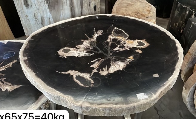 Tisch Fossil Versteinertes Holz Stein Couchtisch Esstisch Naturstein Küchentisch Wohnzimmertisch von TARSHOPBALI