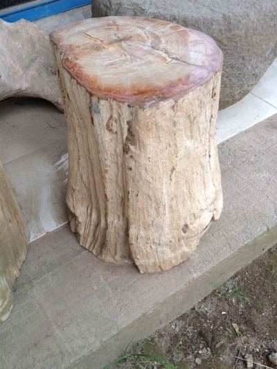 Tisch Hocker Beistelltisch Nachttisch Blumenständer Steintisch Gartentisch Couchtisch Kaffeetisch wird aus Versteinertem Holz Fossil Stein von Hand gefertigt Coffee table Occasional coffee table Side table Coffee table Stool Stone table Garden table Tisch Hocker Beistelltisch Nachttisch Blumenständer Steintisch Gartentisch Couchtisch Kaffeetisch wird aus Versteinertem Holz Fossil Stein von Hand gefertigt Coffee table Occasional coffee table Side table Coffee table Stool Stone table Garden table von TARSHOPBALI