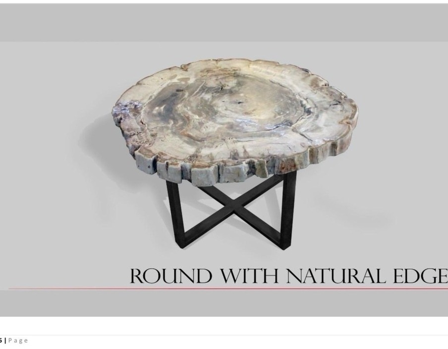 Tisch Fossil Natur Steintisch Couchtisch Versteinertes Holz Kaffeetisch Beistelltisch Petrified wood Tisch Fossil Natur Steintisch Couchtisch Versteinertes Holz Kaffeetisch Beistelltisch Petrified wood von TARSHOPBALI