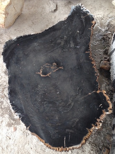 Tisch Fossil Natur Steintisch Couchtisch Versteinertes Holz Loungetisch Fossiltisch Petrified wood von TARSHOPBALI