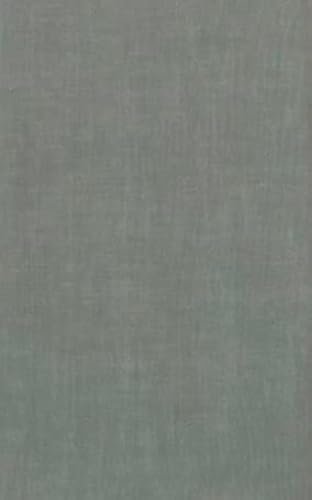 染の安坊 Anbo Tenugui Handtuch, einfarbig, 100 % Baumwolle, hergestellt in Japan, 35,1 x 100,1 cm, Hellgrün / Grau von 染の安坊